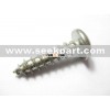 screw