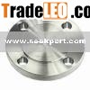 Stainless Steel Flanges