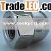 CAP NUT ,DOME NUT ,STAINLESS TEEL NUT ,DIN1587