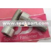 Monel screw