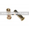 Stainless steel rivet nut
