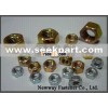 HEX NUTS