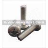 Cross Pan Head Screw