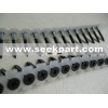 Collated drywall screw