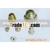 Offer kinds of cap nuts