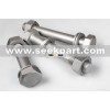 High Strength Bolts With Large Hexagon Head for Steel Structures (DIN6914~6916)