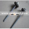 roofing nails, clout nails, brad nails, finishing nails, copper nails, shoes nai