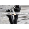 Hex socket head cap screw
