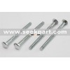 Carriage Bolt ,Special bolt