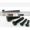 High Strength Zinc Black Hex Bolt DIN933