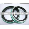 Oil Seal (Sealant products)