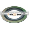 spiral wound gasket