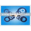 Spiral Wound Gasket