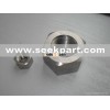Bolt Nut