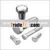 hexagon screw