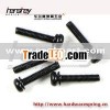 REACH round head screw from professional screw supplier
