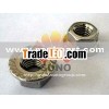 flange nut