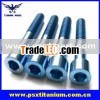 Ti 6AL-4V Titanium Bolts