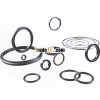 Piston Seals