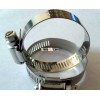 SS304 American type hose clamp