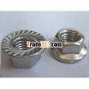 HEX FLANGE NUTS GR.2 ZINC PLATED