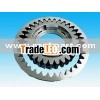 oil pump gear