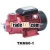 Vortex Water Pump QB60-1
