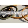Glyd Ring  Step seal