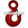 eye slip hook with latch