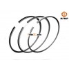 Piston and piston ring of diesel engine
