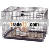 cage dog