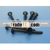Black Dry Wall Self-drilling Nail