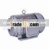 Y Three phase Motor