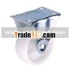 fixed/directional caster