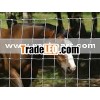 grassland fence supplier(High quality galvanized)