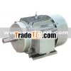 three phase induction electric motor