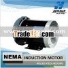 Rolled Steel High Efficiency NEMA Motor