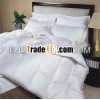Quilt