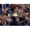 Super Absorbent Polymer for Agriculture and Environment