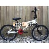 Adult Bicycle