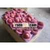 Huaniu Apple