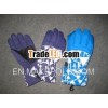 ski glove