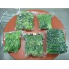 DZD-400,500 ,600 Single chamber melt ,food  vacuum packing machine