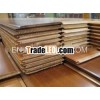 Cedar Wall Panels