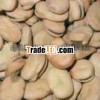 2011 crop raw dry light pink broad bean (Gansu)