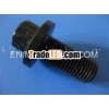 black oxide coating Hex Bolt