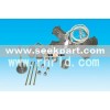 hot runner system for plastic mould