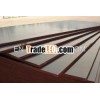 Plywood for Formwork