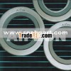 Spiral Wound Gsaket,Spiral wound gasket with inner and outer ring