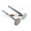 Weichai Engine Parts - Intake Valve VG1560050042